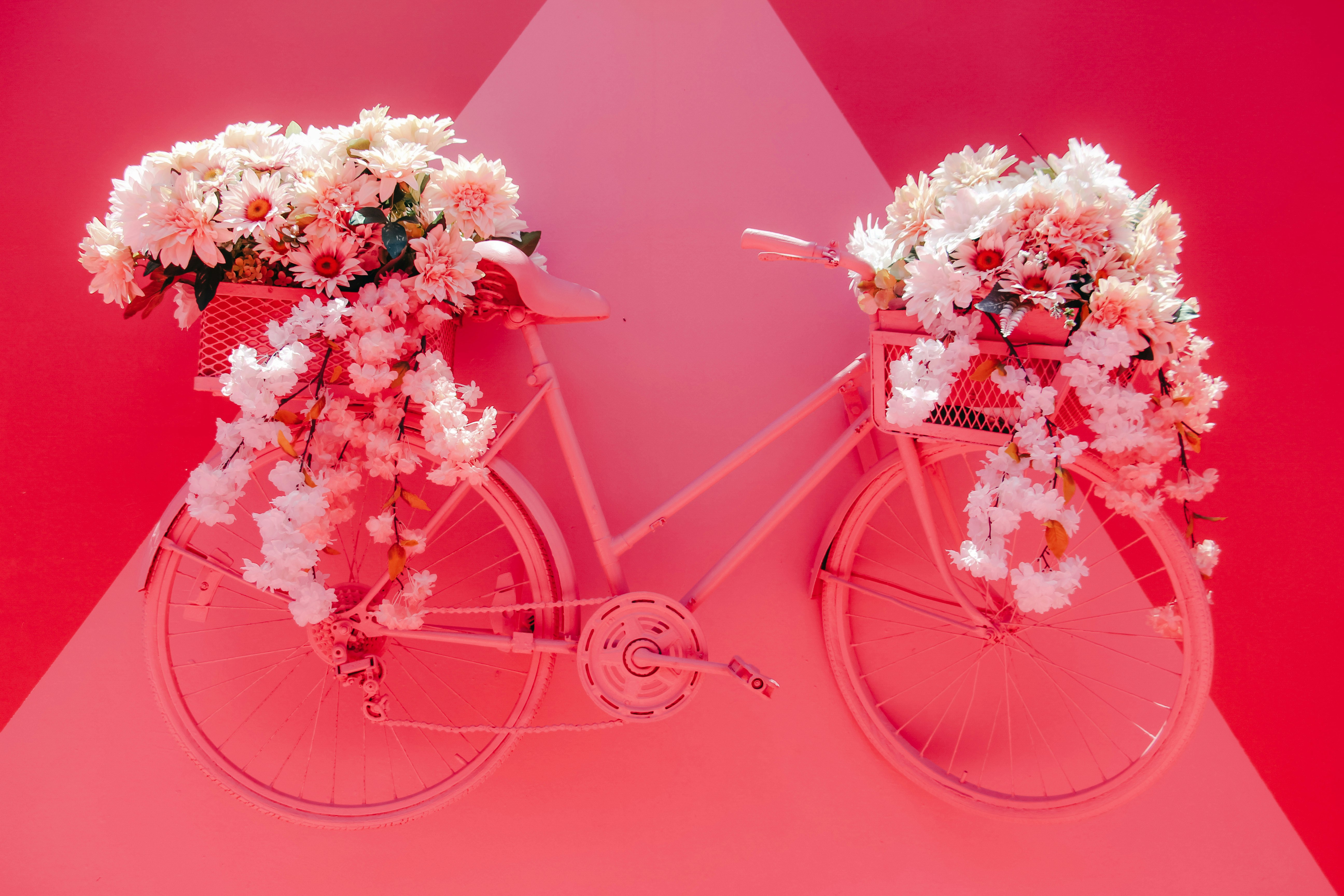 pink and white flower bouquet on pink bicycle